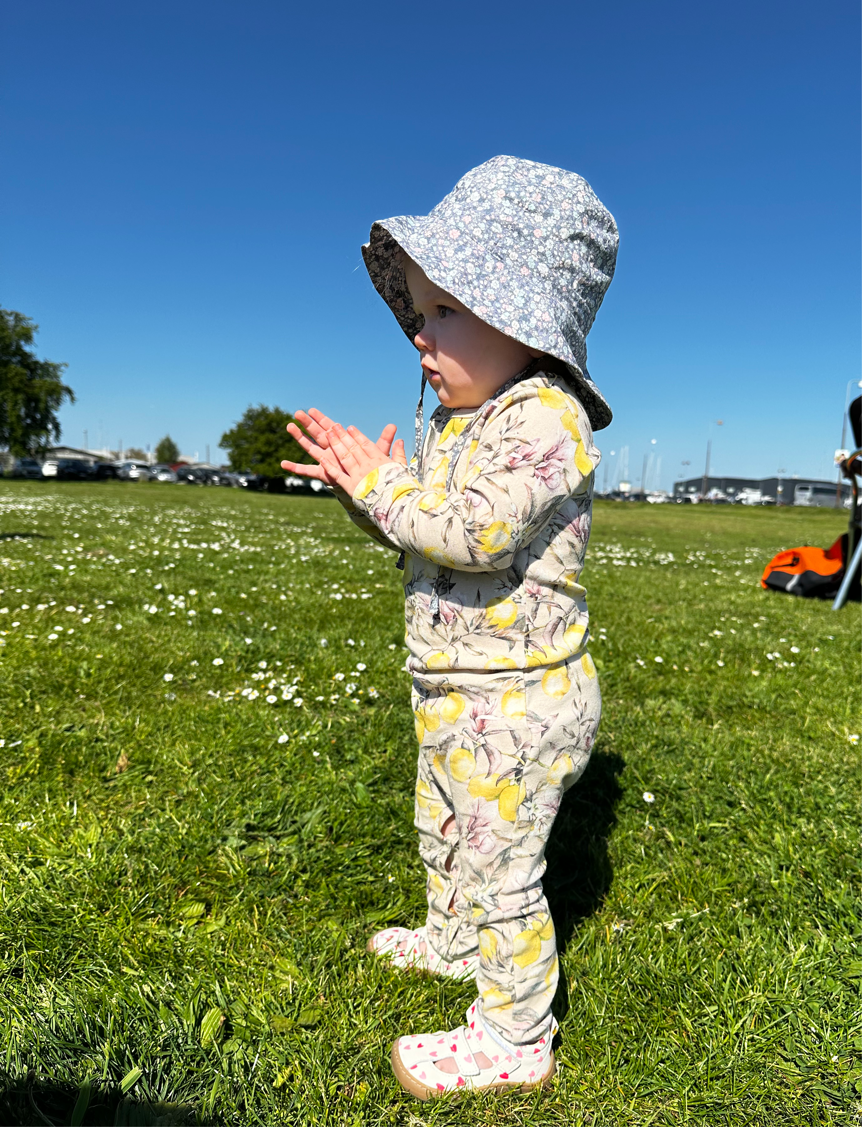 Gogsig MIO – Hearts