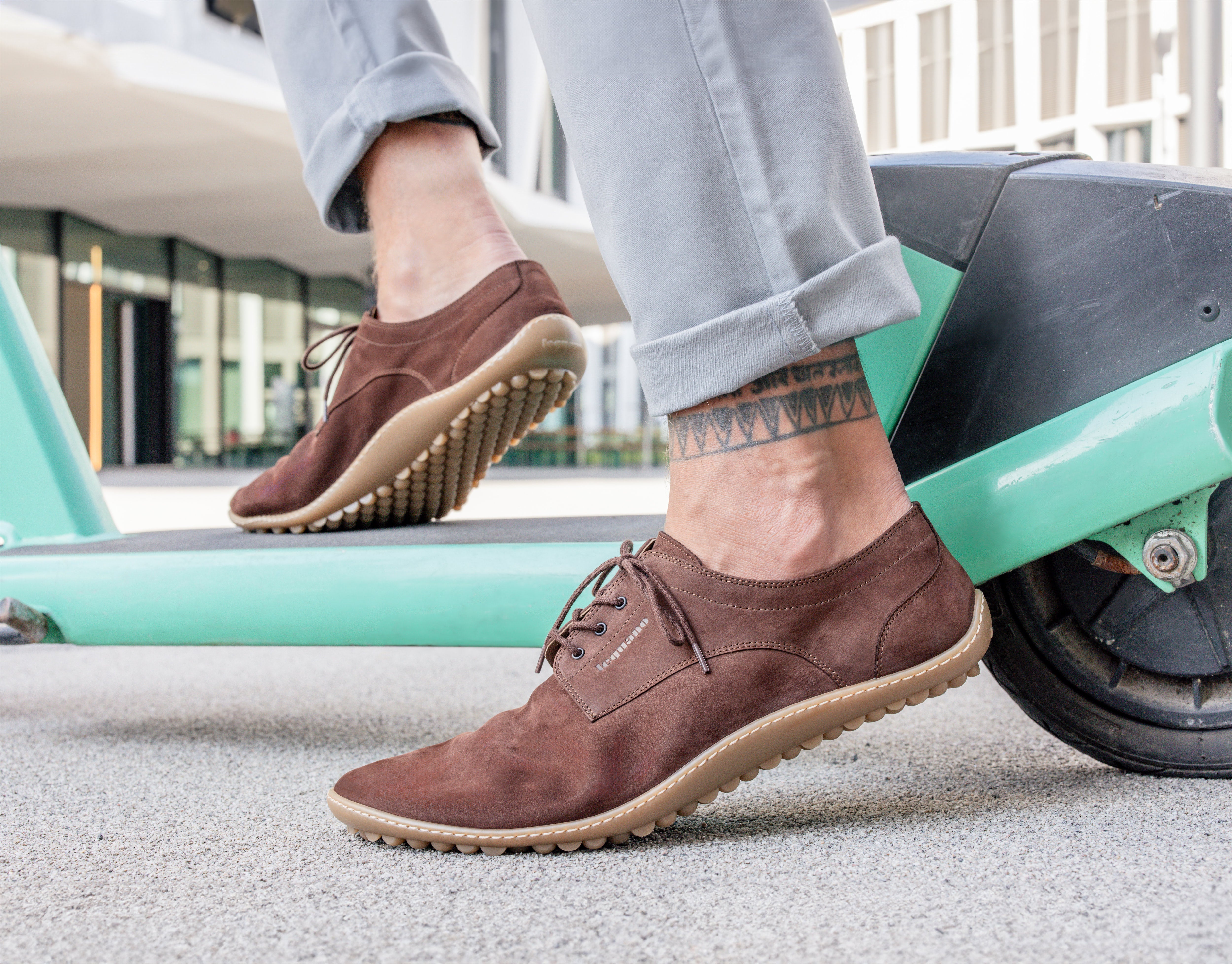 Leguano Dean – Mokka