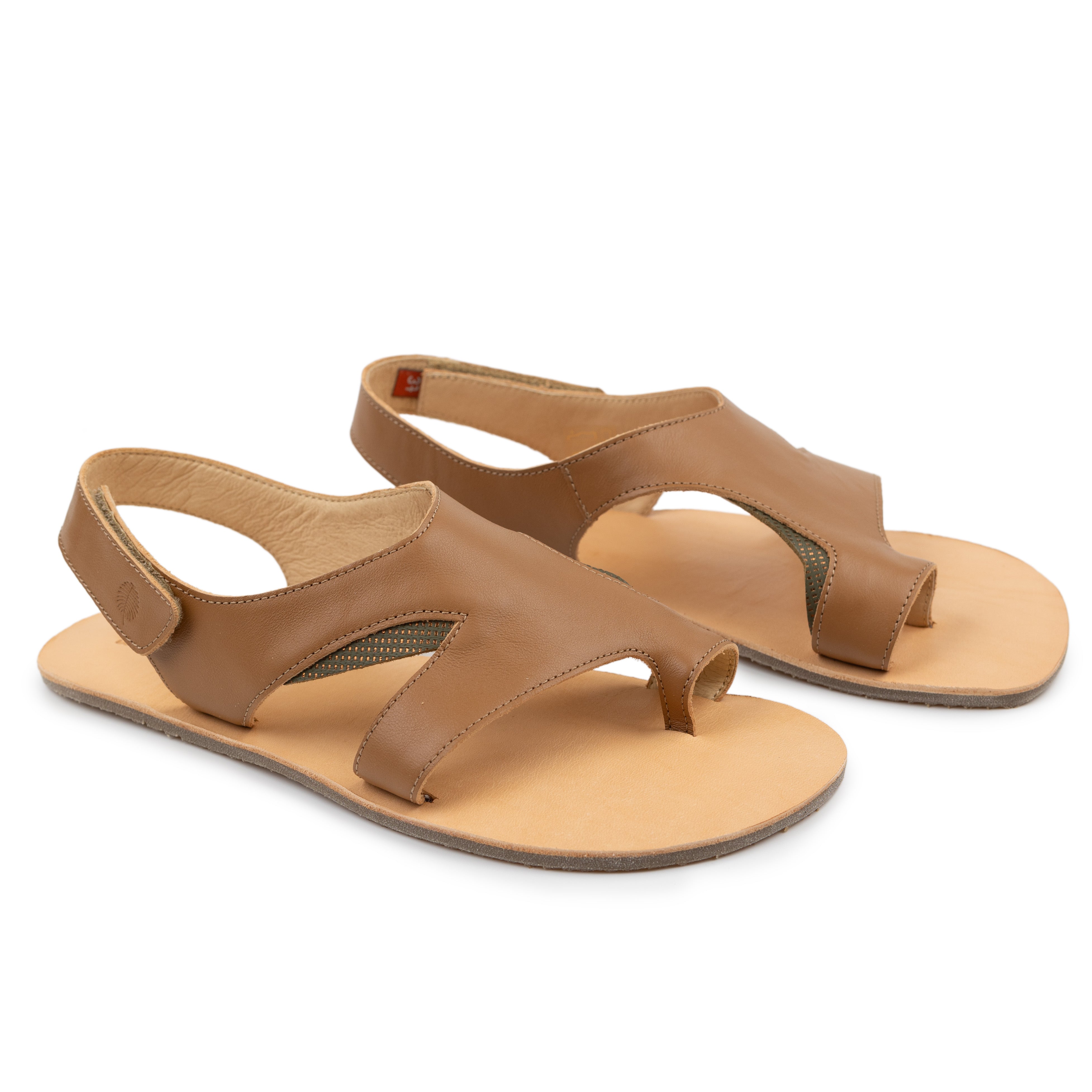 Tikki/LANG.S Gaia – Camel