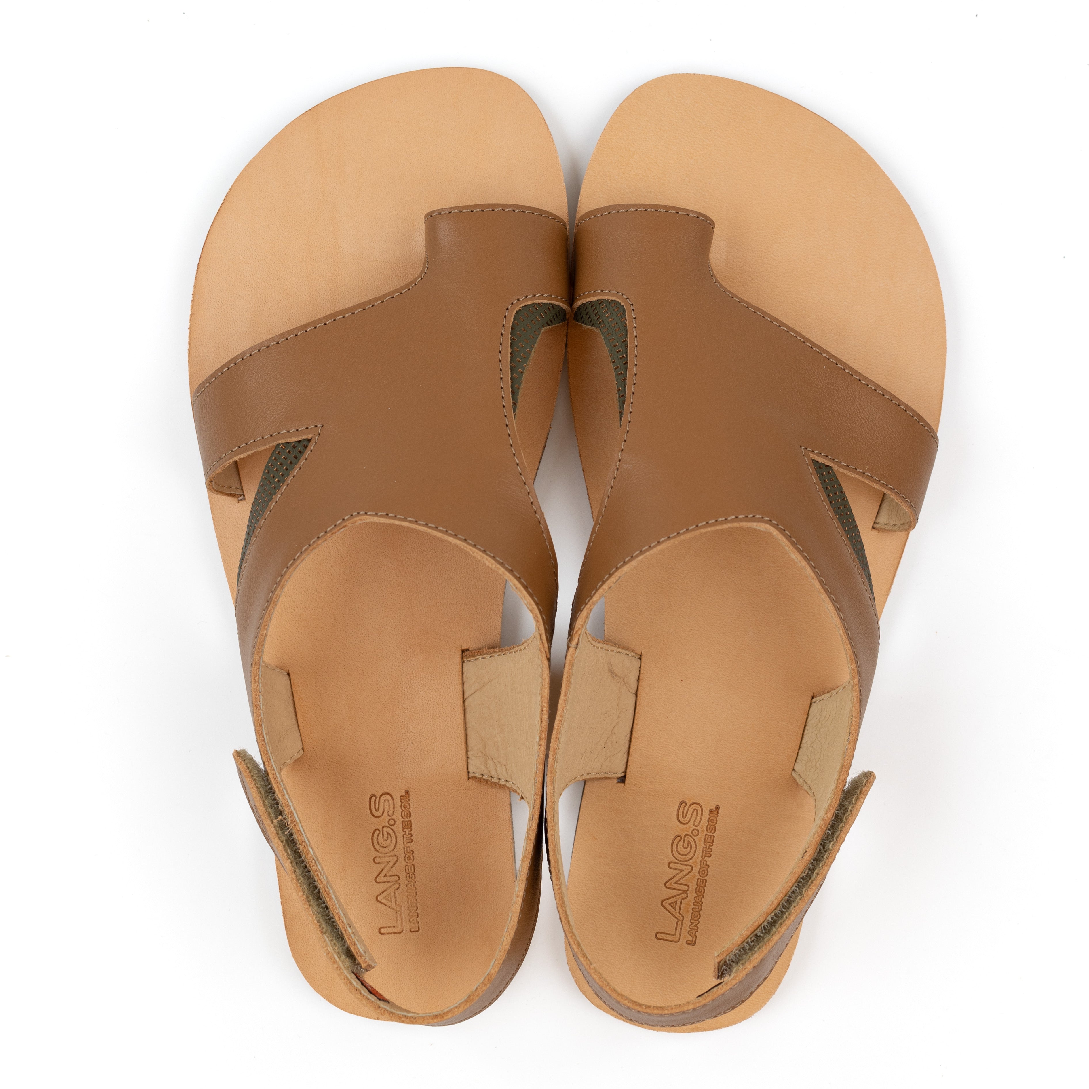 Tikki/LANG.S Gaia – Camel