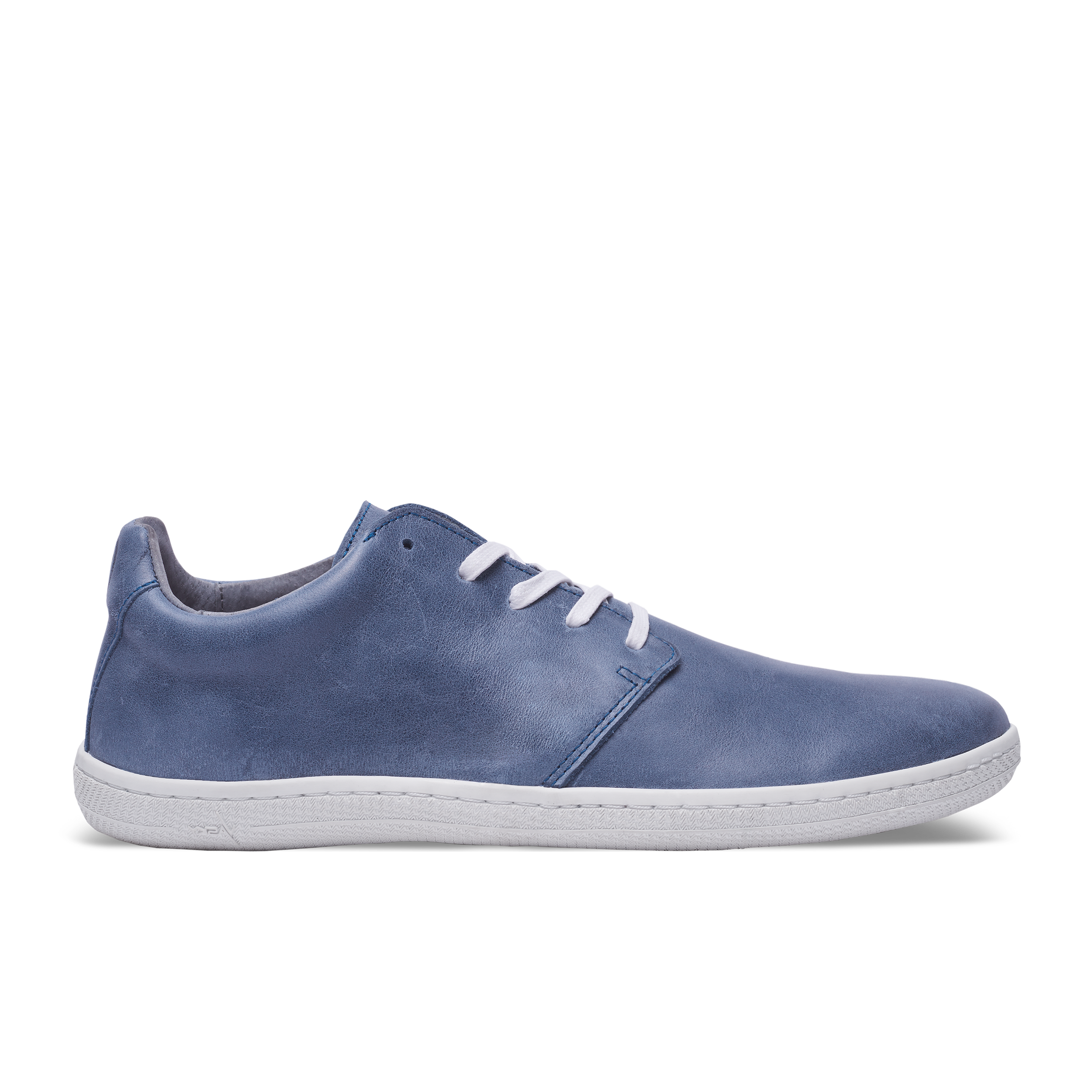 Vasky Terry – Blue