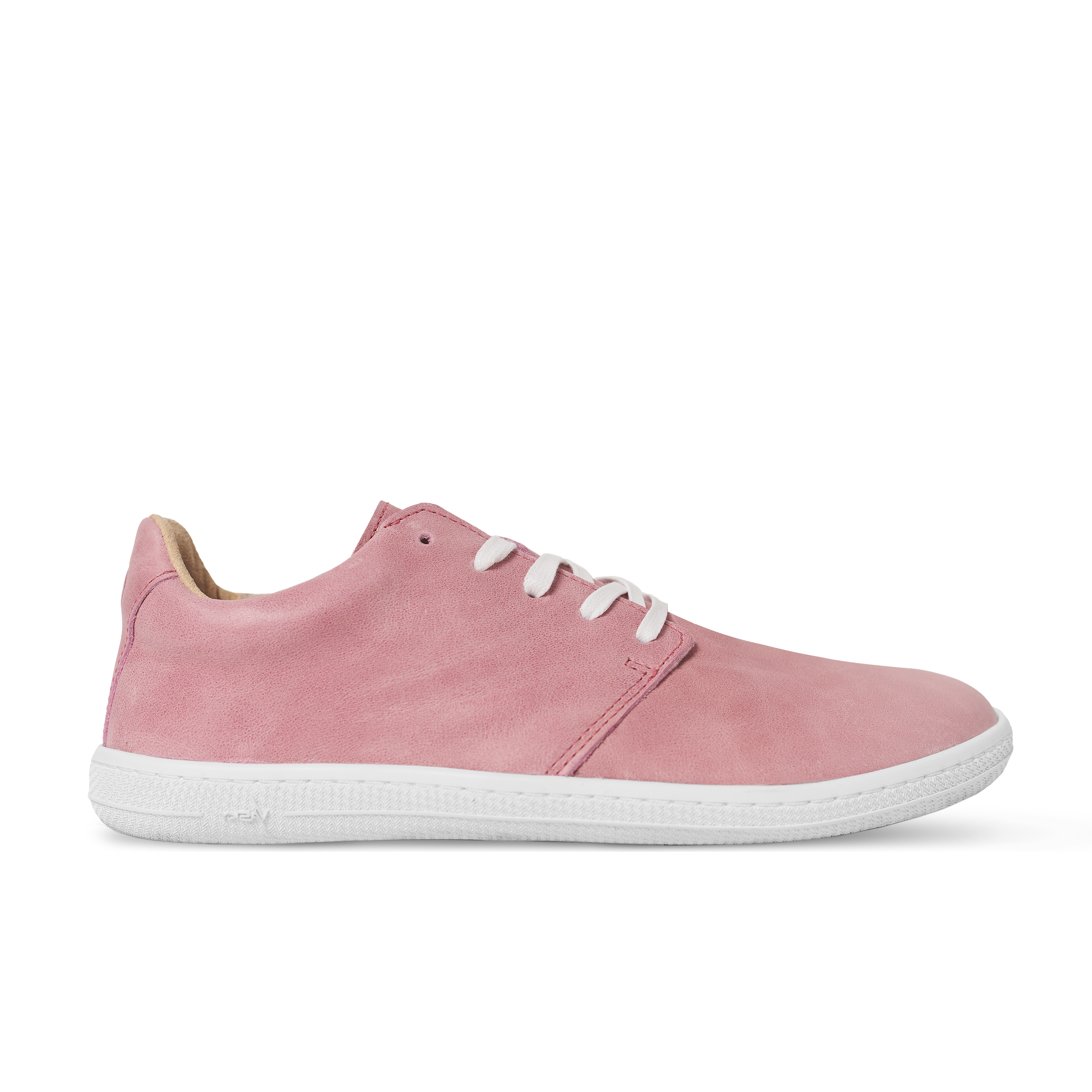 Vasky Terry – Pink