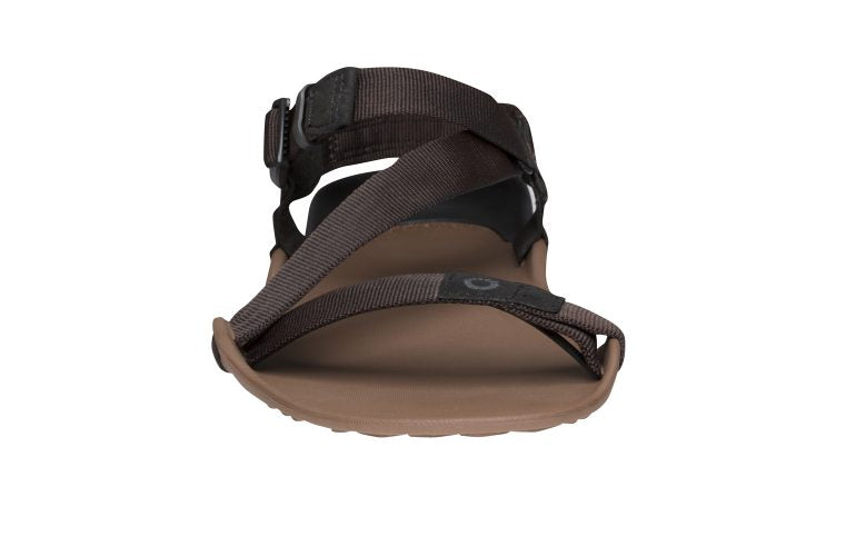 Xero Shoes Z-Trek Women barfods sandaler til kvinder i farven mocha earth, forfra