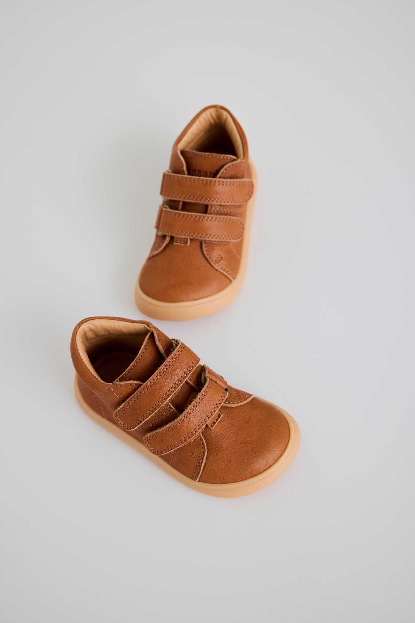 Bisgaard Dex – Cognac