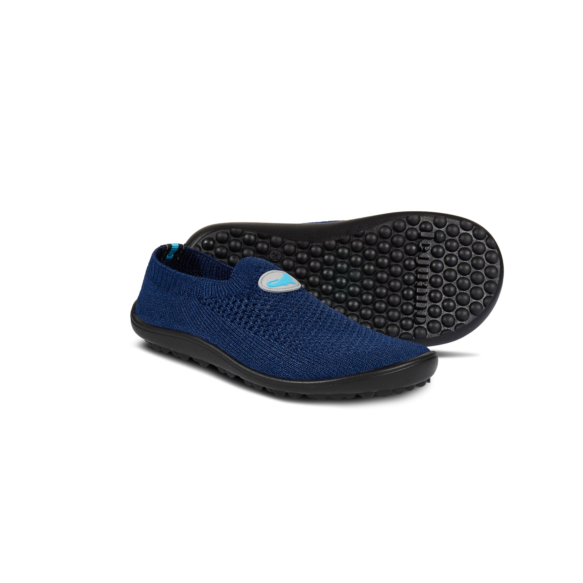 Leguanito Scio – Blue (23-28)