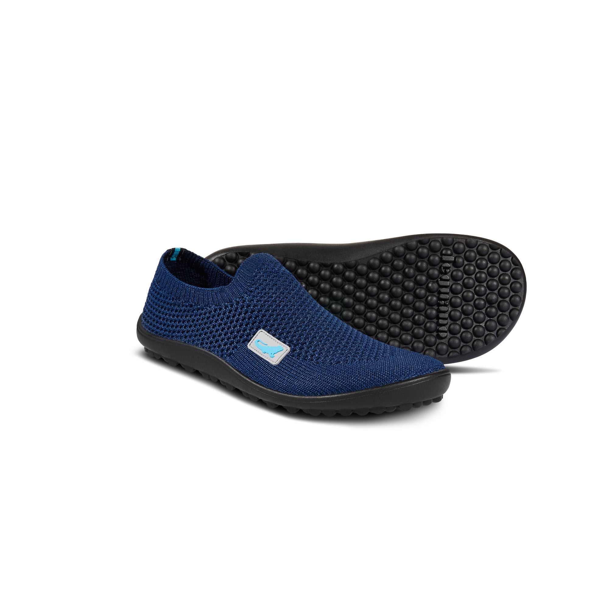 Leguanito Scio – Blue (29-34)