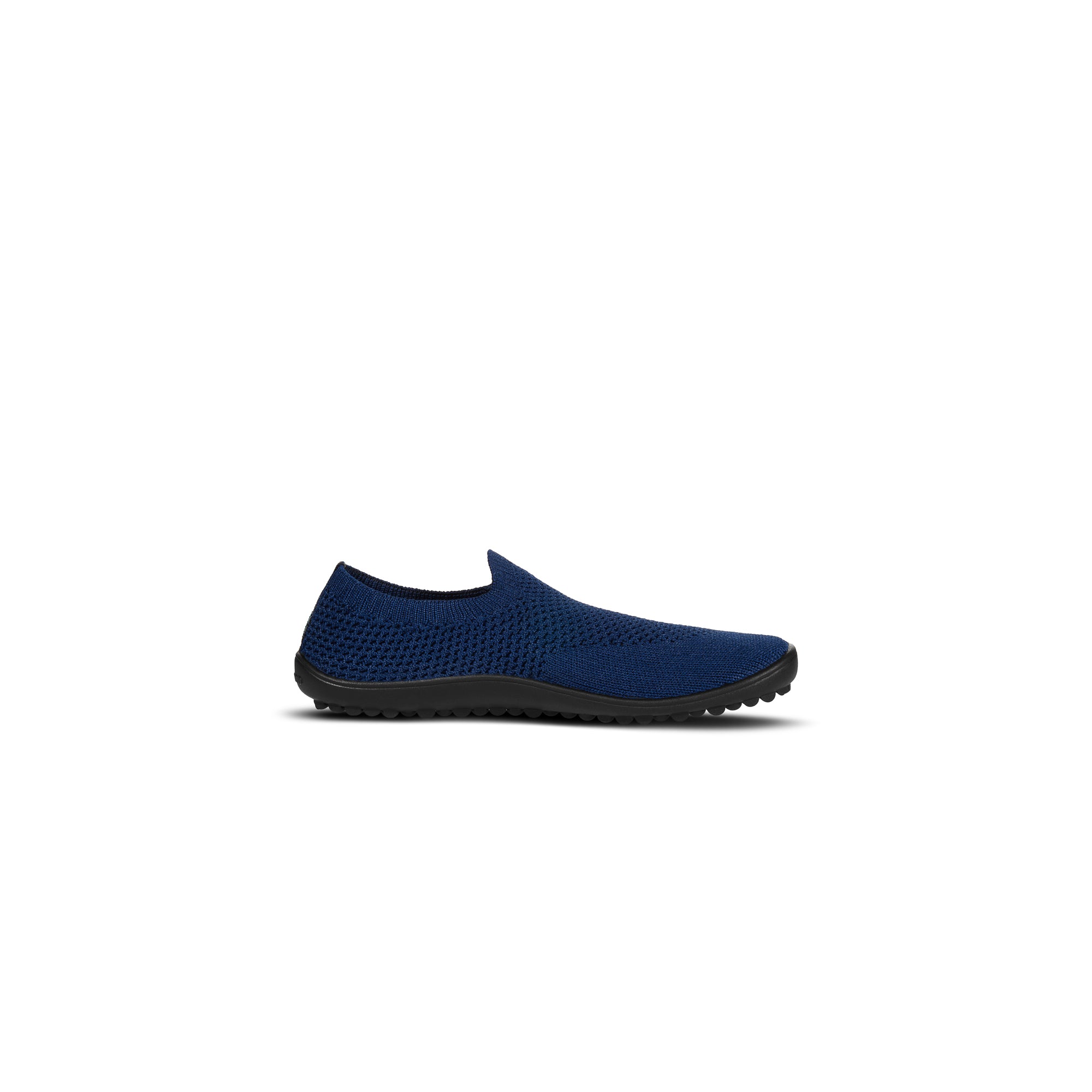 Leguanito Scio – Blue (29-34)