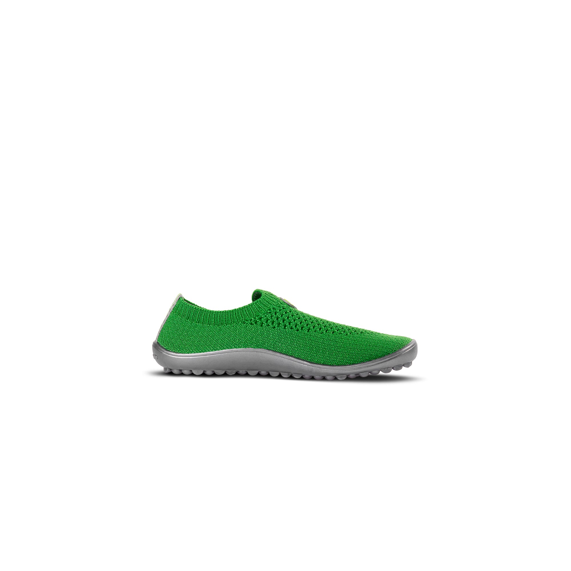 Leguanito Scio – Green (29-34)