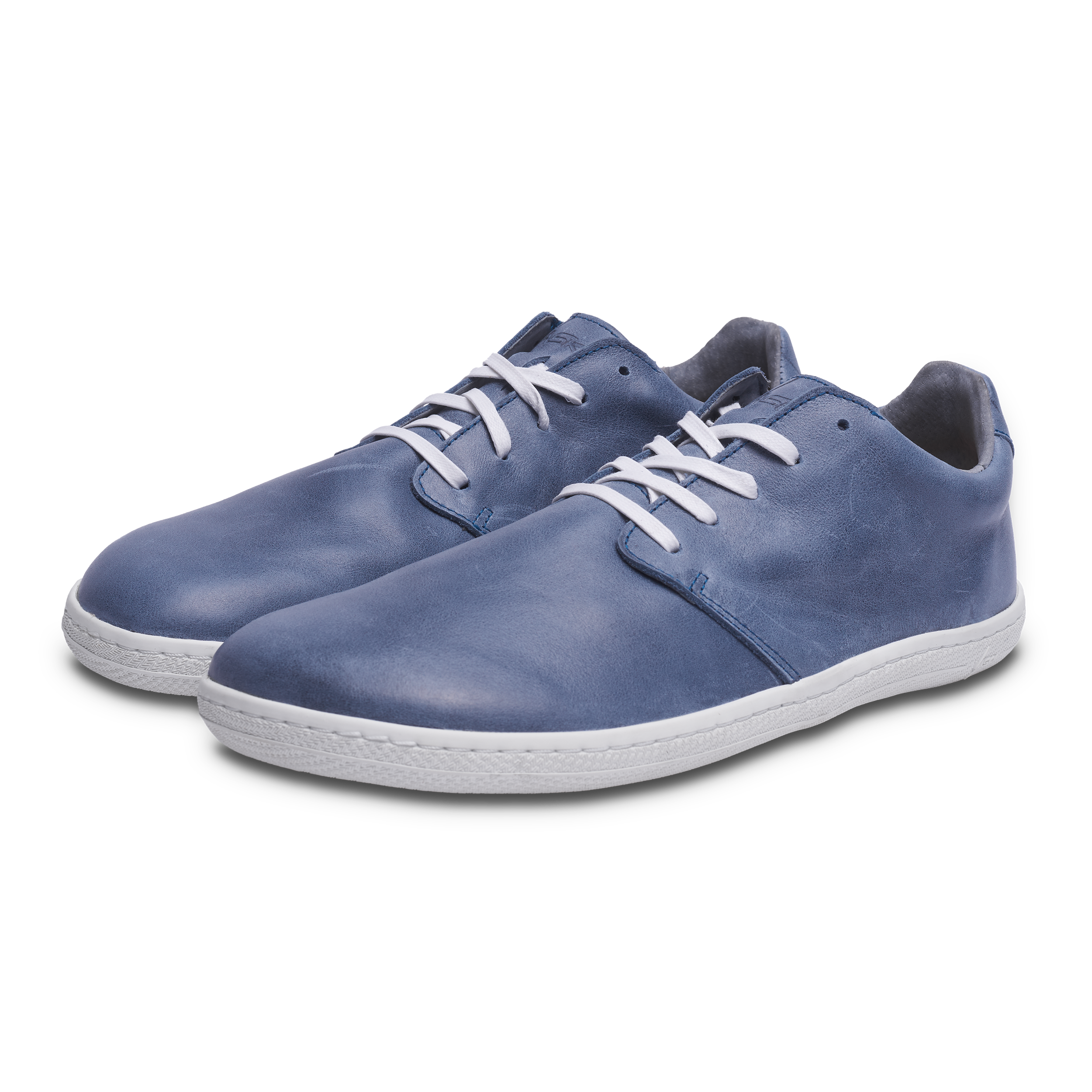 Vasky Terry – Blue