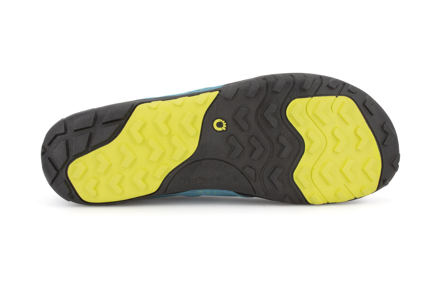 Xero Shoes Aqua X Sport barfods vand træningssko til mænd i farven surf, saal